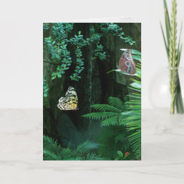 Beileid Schmetterlinge im Garten Karte