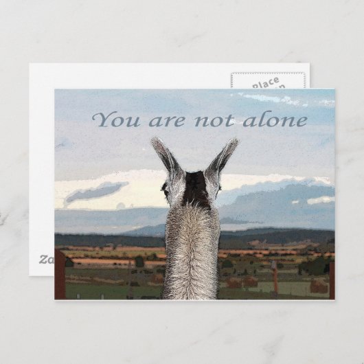 Beileid: Sie sind nicht allein Llama Postkarte (Vorne/Hinten)