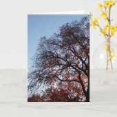 Beileid Silhouette Trees Karte (Gelbe Blume)