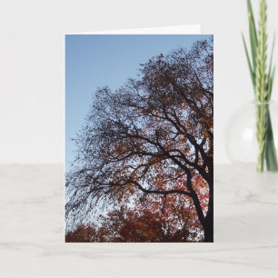 Beileid Silhouette Trees Karte