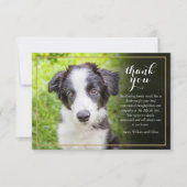 Beileid-Skript für Pet Loss Dankeskarte (Vorderseite)