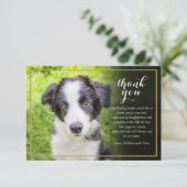 Beileid-Skript für Pet Loss Dankeskarte (Stehend Vorderseite)