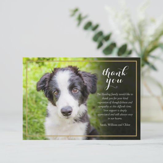 Beileid-Skript für Pet Loss Dankeskarte (Stehend Vorderseite)