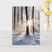 Beileid-Sonnenbänke im Winterwald Karte (Gelbe Blume)