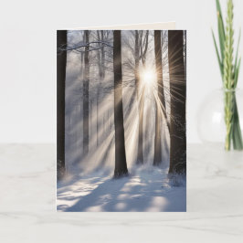 Beileid-Sonnenbänke im Winterwald Karte