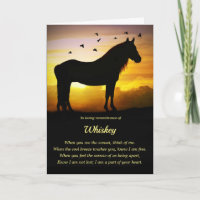Beileid Spirituelle Pferde Name