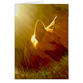 Beileid Sunbeam German Shepherd Dog Poem Card