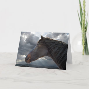 Beileid Support & Komfort - Reitstall Karte