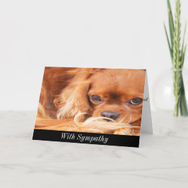 Beileid Sweet Cavalier King Charles Spaniel Card Karte