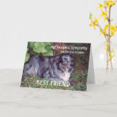 Beileid über den Verlust des Hundes/des Begleiters Karte (Gelbe Blume)