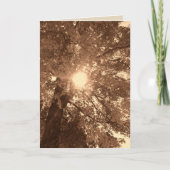 Beileid und Hoffnung Karte (Vorderseite)