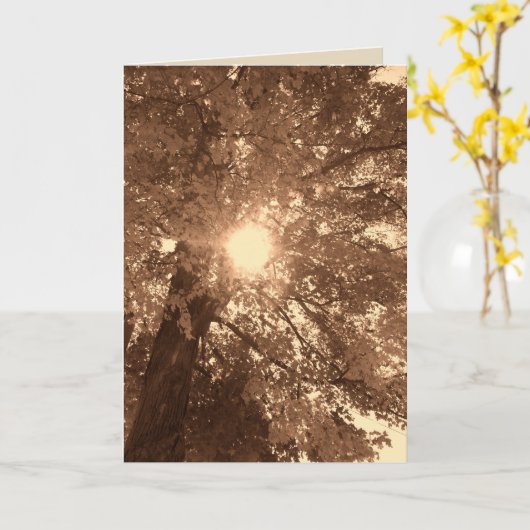 Beileid und Hoffnung Karte (Gelbe Blume)