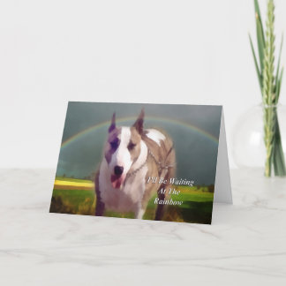 Beileid - Verlust des Heimtierhundes Karte