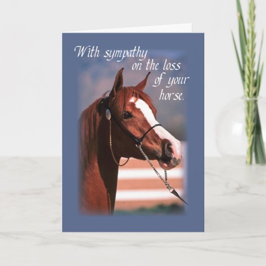Beileid Verlust von Pferd, blau Karte (Vorderseite)