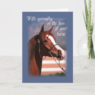Beileid Verlust von Pferd, blau Karte