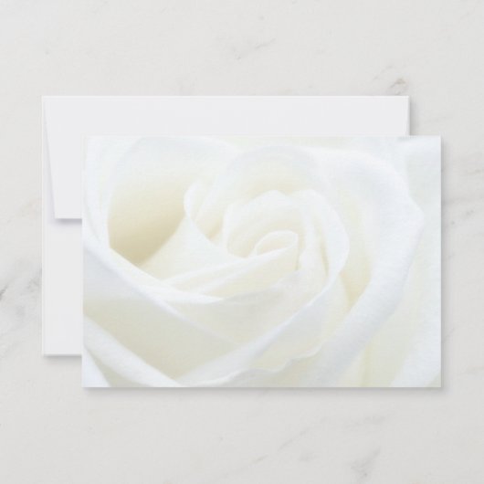 Beileid Vielen Dank für Ihre Rose Dankeskarte (Rückseite)