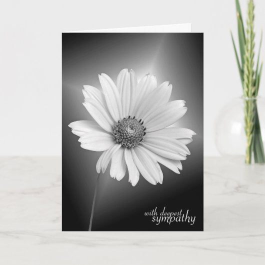 Beileid White Daisy auf Black Karte (Vorderseite)
