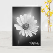 Beileid White Daisy auf Black Karte (Gelbe Blume)