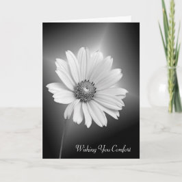 Beileid White Daisy Blume Karte