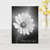 Beileid White Daisy Blume Karte (Gelbe Blume)