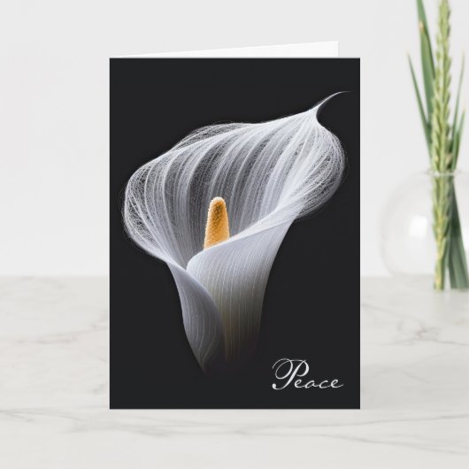 Beileid White Peace Lily on Black Karte (Vorderseite)