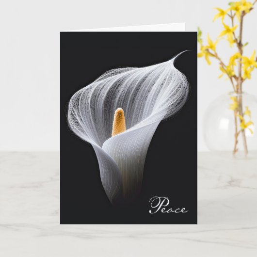 Beileid White Peace Lily on Black Karte (Gelbe Blume)
