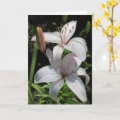 Beileids-Karte Karte (Gelbe Blume)