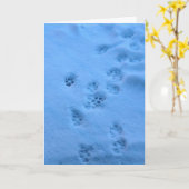 Beileidskarte für ein Haustier Karte (Gelbe Blume)