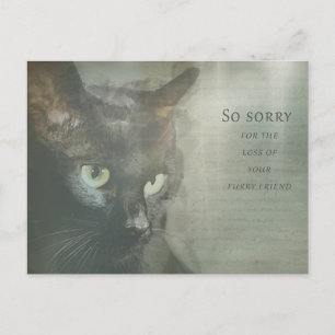 Beileidskarte Katze - Schwarz - Sympathy Card Postkarte