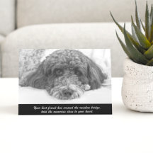 Beileidskarte Labradoodle Begrüßung
