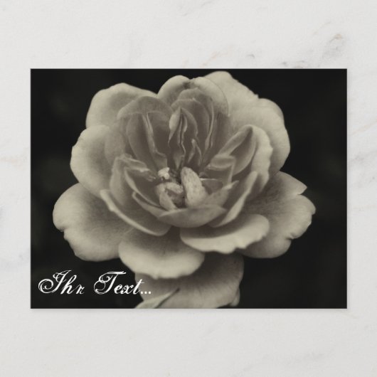 Beileidskarte Postkarte (Vorderseite)