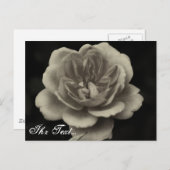 Beileidskarte Postkarte (Vorne/Hinten)