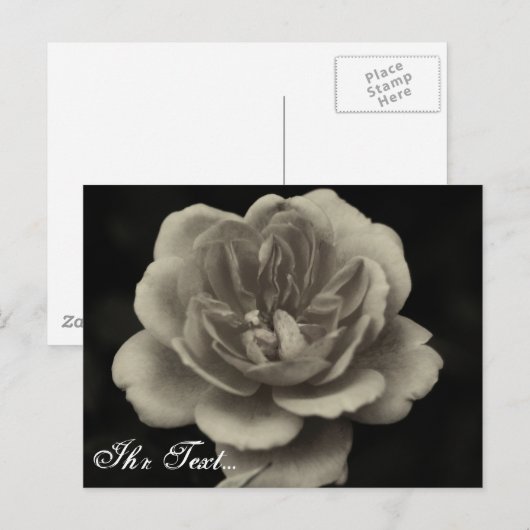 Beileidskarte Postkarte (Vorne/Hinten)