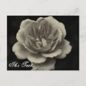 Beileidskarte Postkarte (Vorderseite)