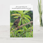 Beileidskarte - Verlust eines Freunds Karte (Vorderseite)