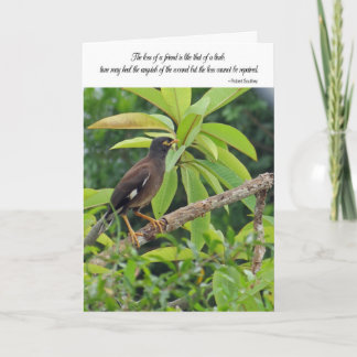 Beileidskarte - Verlust eines Freunds Karte