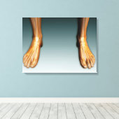 Beine und Füße mit Nervensystem Leinwanddruck (Insitu (Holzboden))