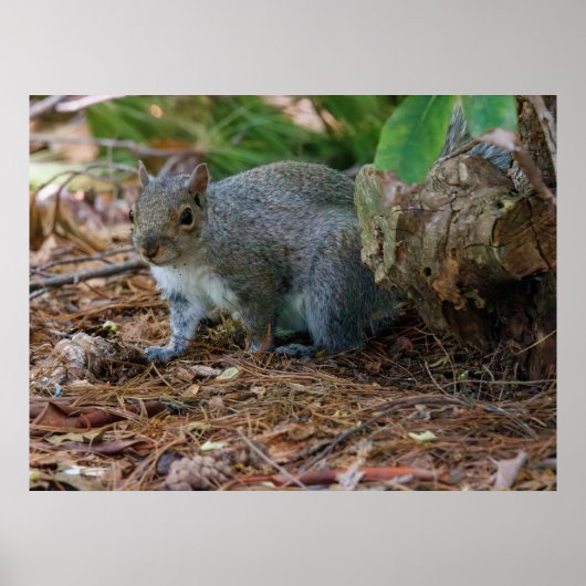 Being Careful Poster (Vorne)