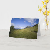 Beinn Dorain ・ Grußkarte Karte (Gelbe Blume)
