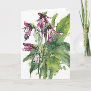 Beinwell - Aquarellblumen Karte