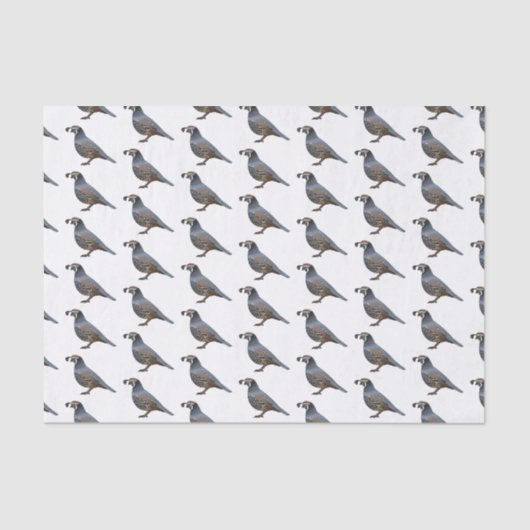 Beispiel für den kalifornischen Cartoon Seidenpapier (Vorderseite)