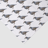 Beispiel für den kalifornischen Cartoon Seidenpapier (Ausschnitt)