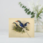 Beispiel für Fischer Postkarte (Stehend Vorderseite)