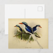 Beispiel für Fischer Postkarte (Vorne/Hinten)