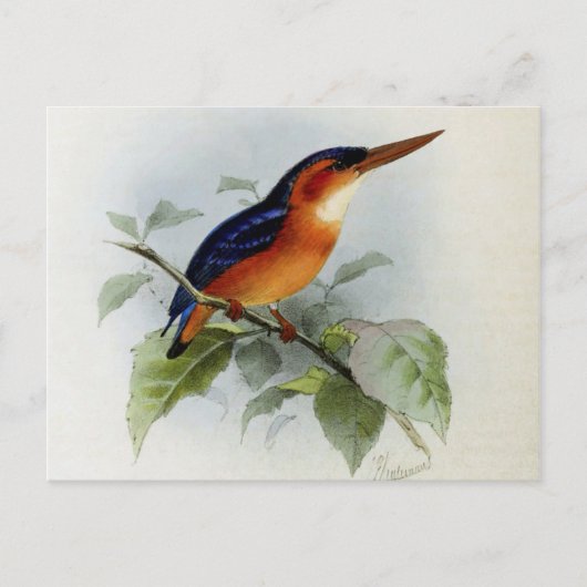 Beispiel für Fischer Postkarte (Vorderseite)