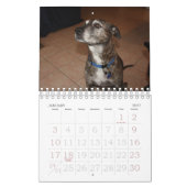 Beispiel für Foto-Frame-Kalender Kalender (Jan 2027)