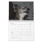 Beispiel für Foto-Frame-Kalender Kalender (Mär 2027)