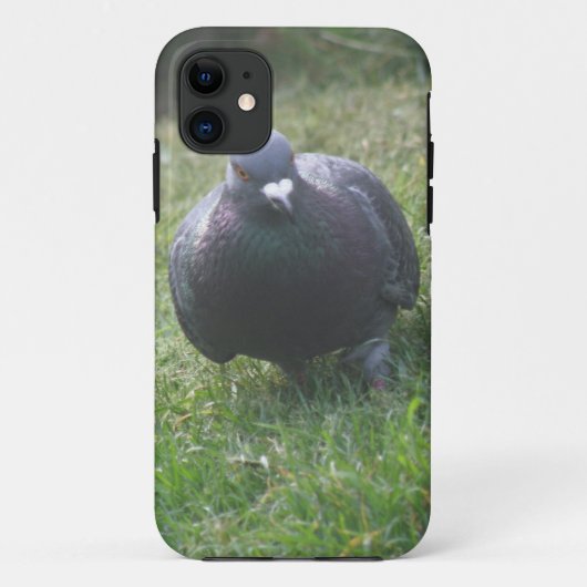 Beispiel für Pigeon iPhone 5 Case-Mate iPhone Hülle (Rückseite)