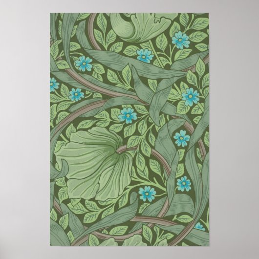 Beispiel für Wallpaper-Muster mit "Vergiss-Me-Nots Poster (Vorne)