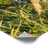 Beispielbild. Poster (Ecke)